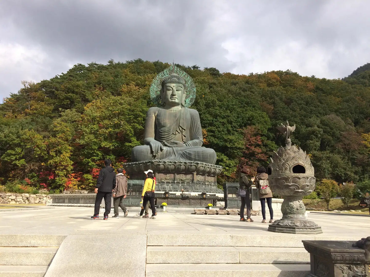 Seúl: monte Seorak (+opción de teleférico) + mercado de pescado y playa de Sokcho