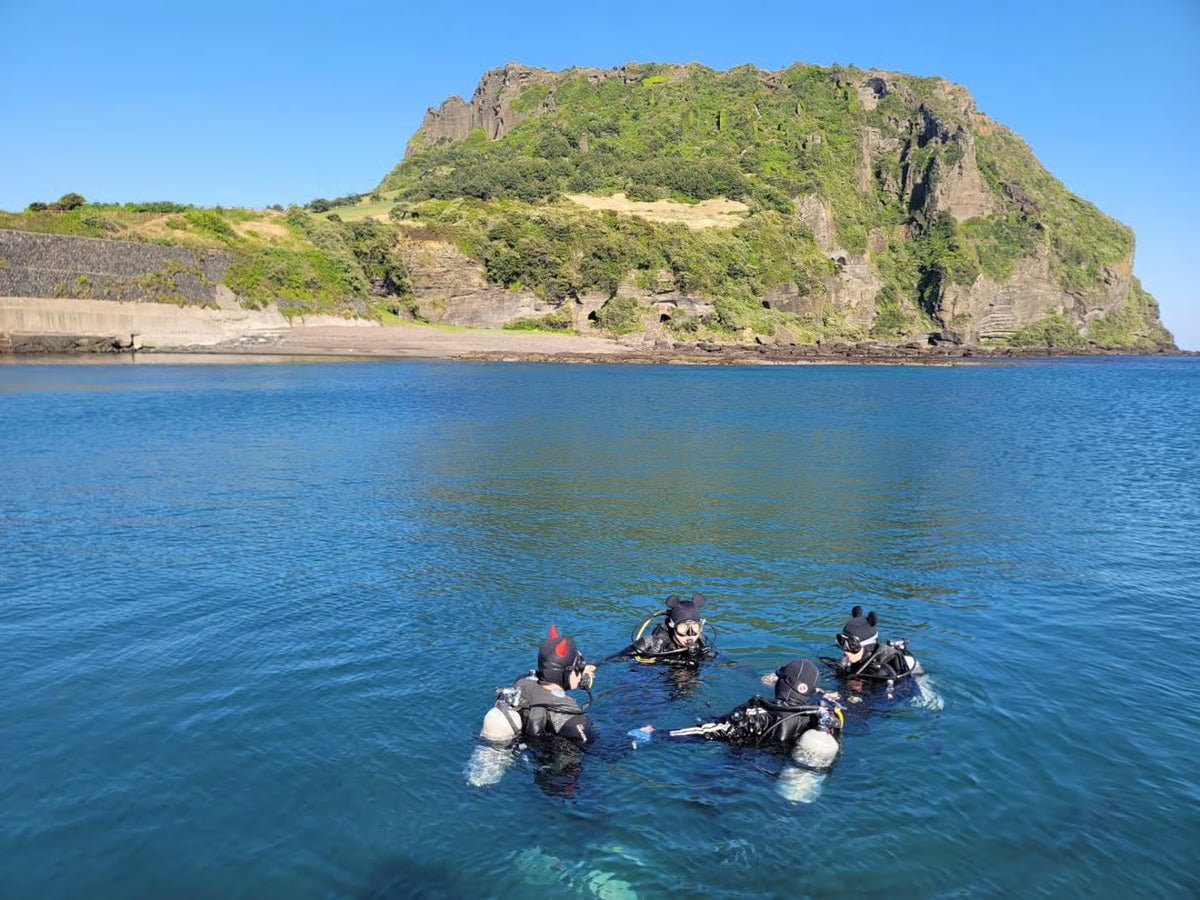 Jeju: experiencia de buceo cerca de Seongsan Ilchulbong