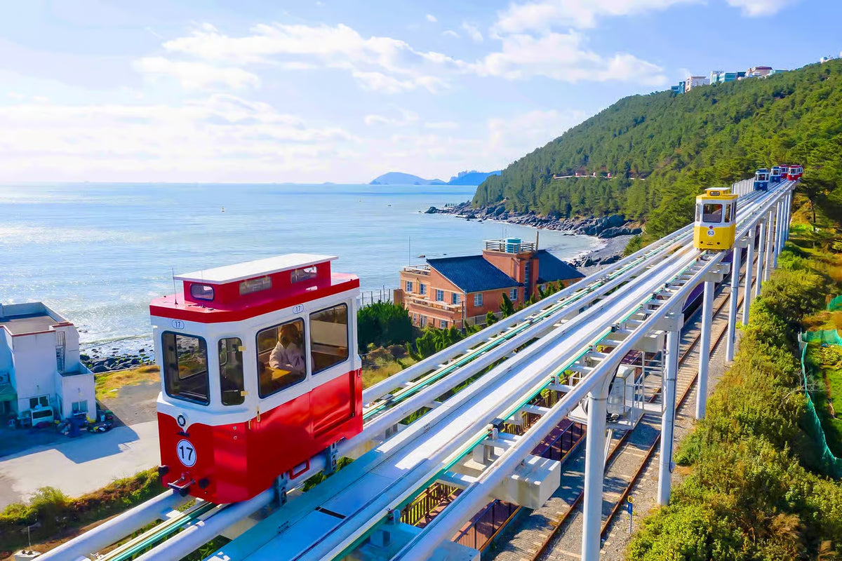 Busan: Excursión de 1 día a Haeundae Sky Capsule y al templo de Yonggungsa