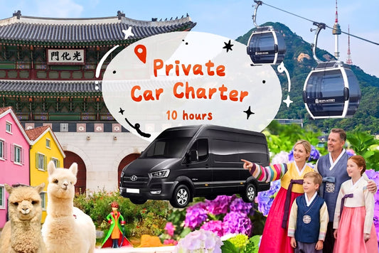 Tour privado personalizable de 10 horas con conductor desde Seúl - 6 personas max.