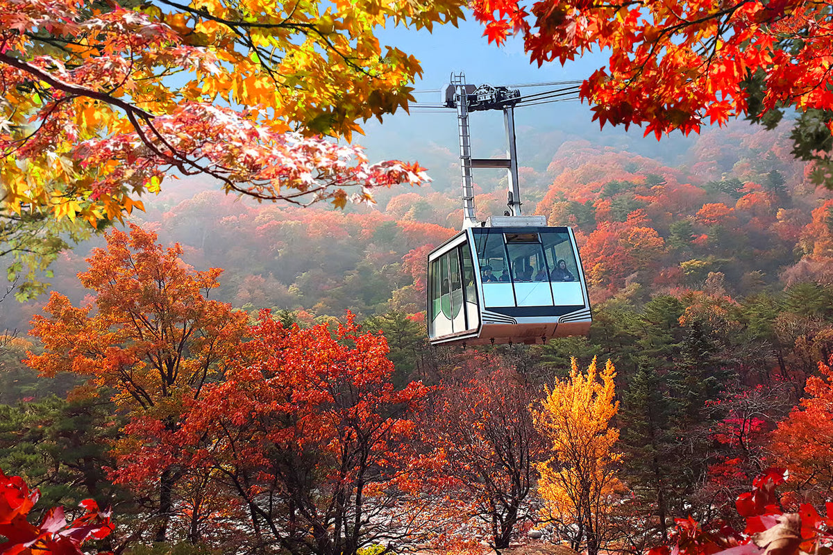 Seúl: monte Seorak (+opción de teleférico) + mercado de pescado y playa de Sokcho