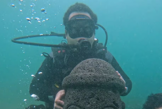 Jeju: experiencia de buceo cerca de Seongsan Ilchulbong