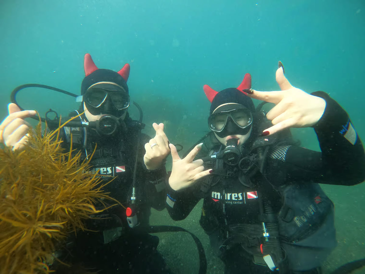Jeju: experiencia de buceo cerca de Seongsan Ilchulbong